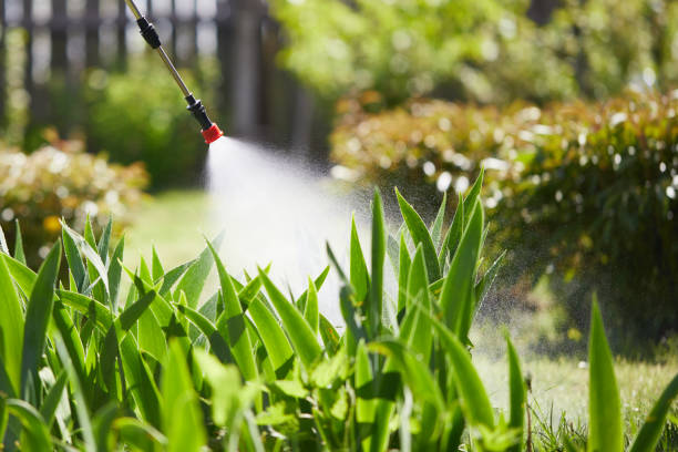 Tamper-Resistant Bait Stations for Rodents in Chewelah