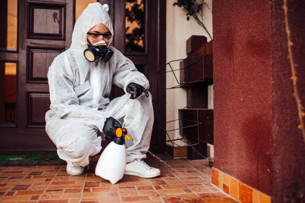 Attic and Crawl Space Rodent Treatment in Chewelah