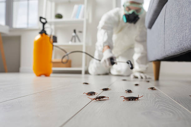 Commercial Rodent Management in Chewelah